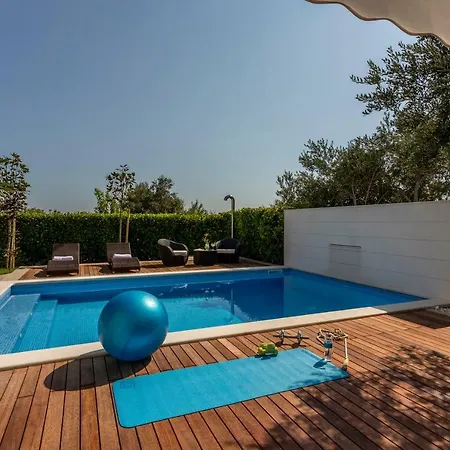 Fox Exclusive Willa *